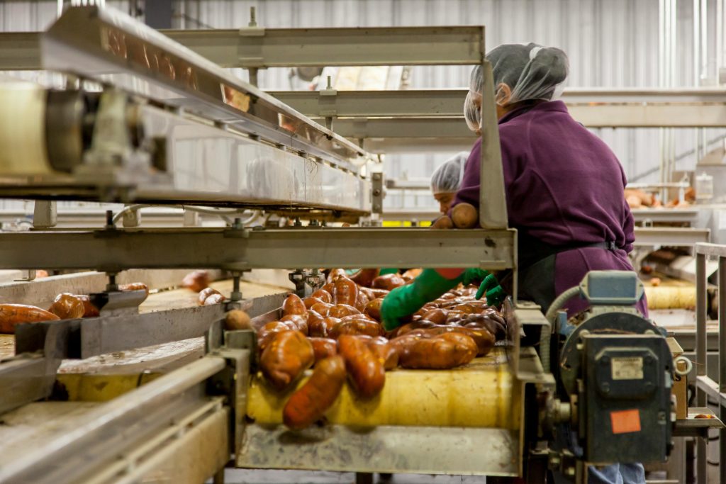 hedley hydraulics supports the food industry