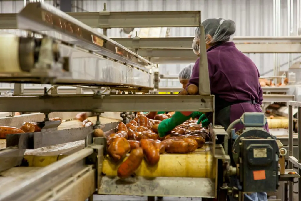 hedley hydraulics supports the food industry