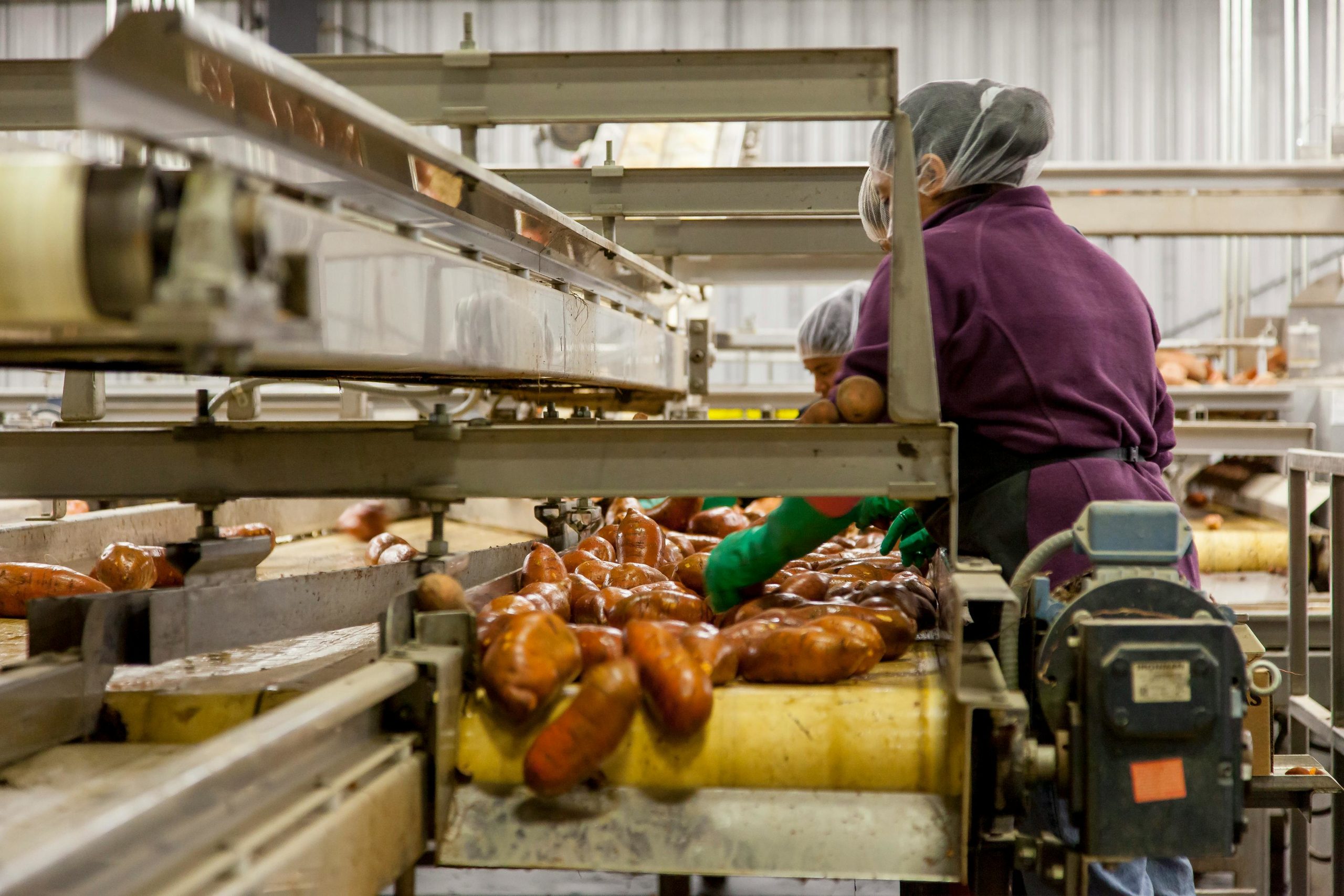 hedley hydraulics supports the food industry